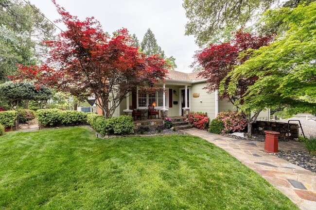 Front Yard - 165 Terrace St