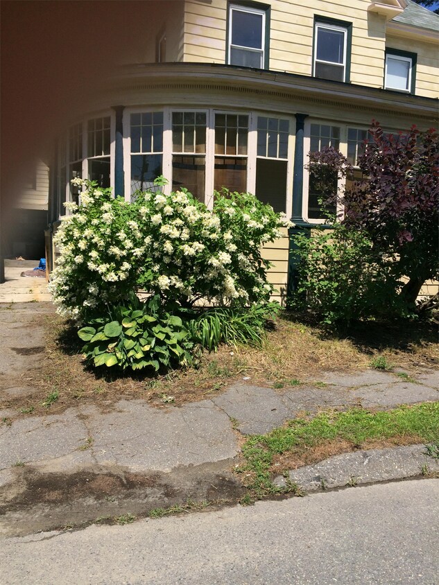 Primary Photo - 9 Summer St