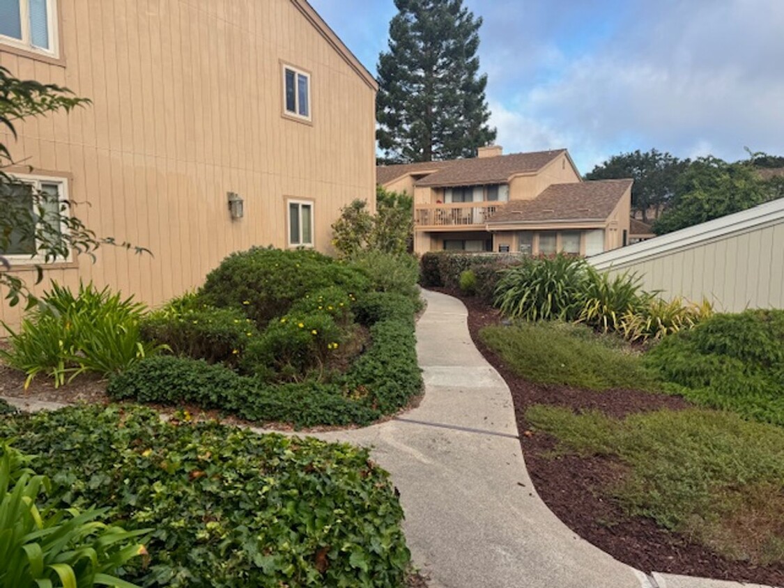 Primary Photo - Great One Bedroom One Bath Condo in Monterey