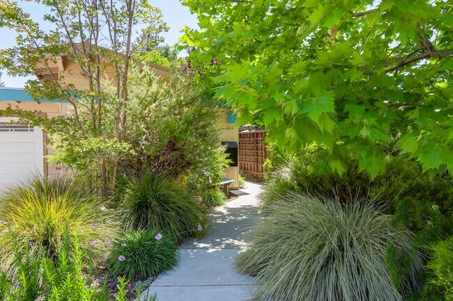 Foto del edificio - 4 Bed / 2 Bath Welcoming Midtown Palo Alto...