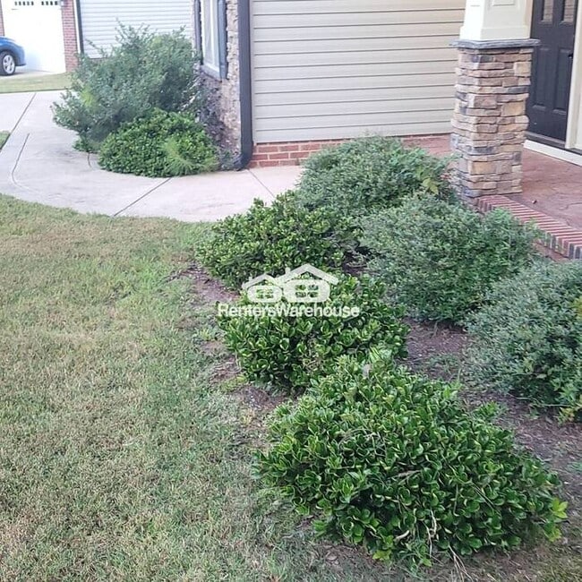 Building Photo - Lovely 4 bedroom home with an office!