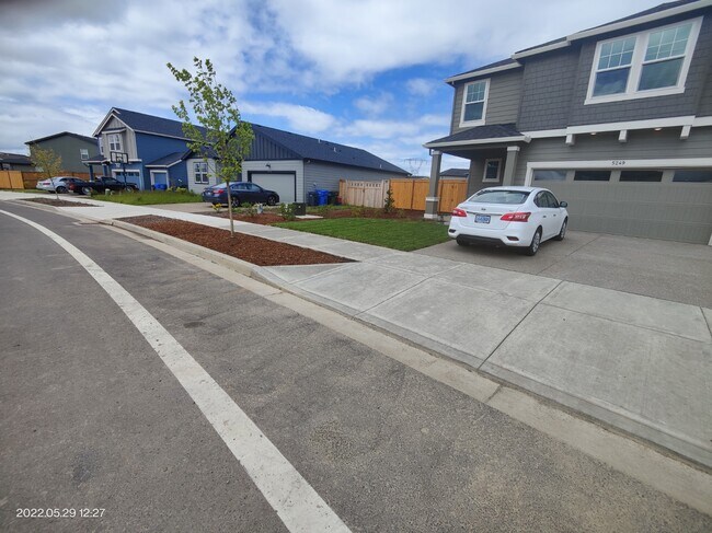 Sidewalk - 5249 49th Ave NE