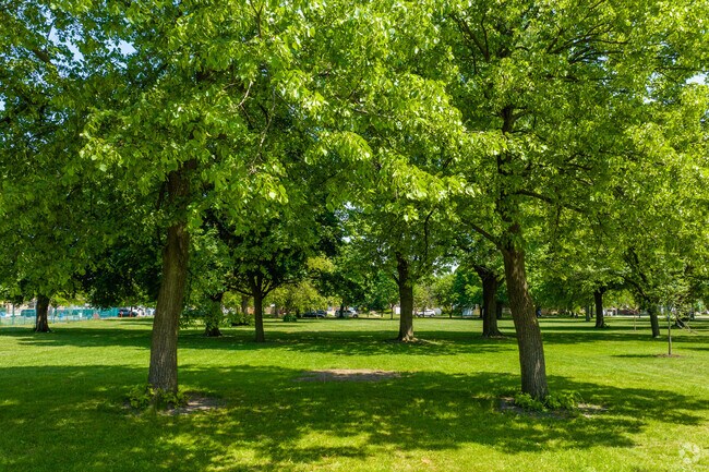 Have a picnic in the shade at Mount Greenwood Park.