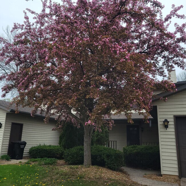 2509 S Kerry Ln, Appleton, WI 54915 Townhome Rentals in Appleton WI