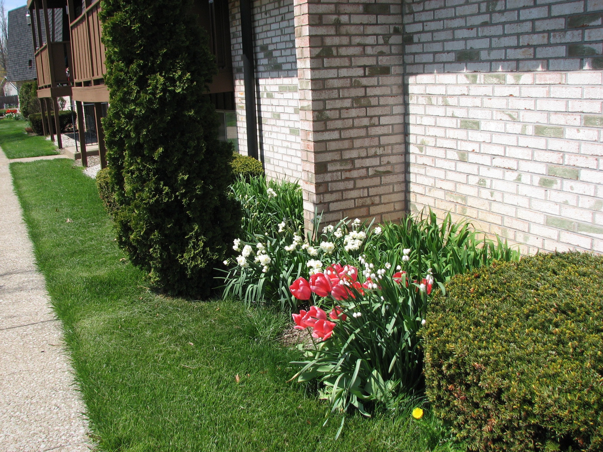 Concord Apartments – photo 2