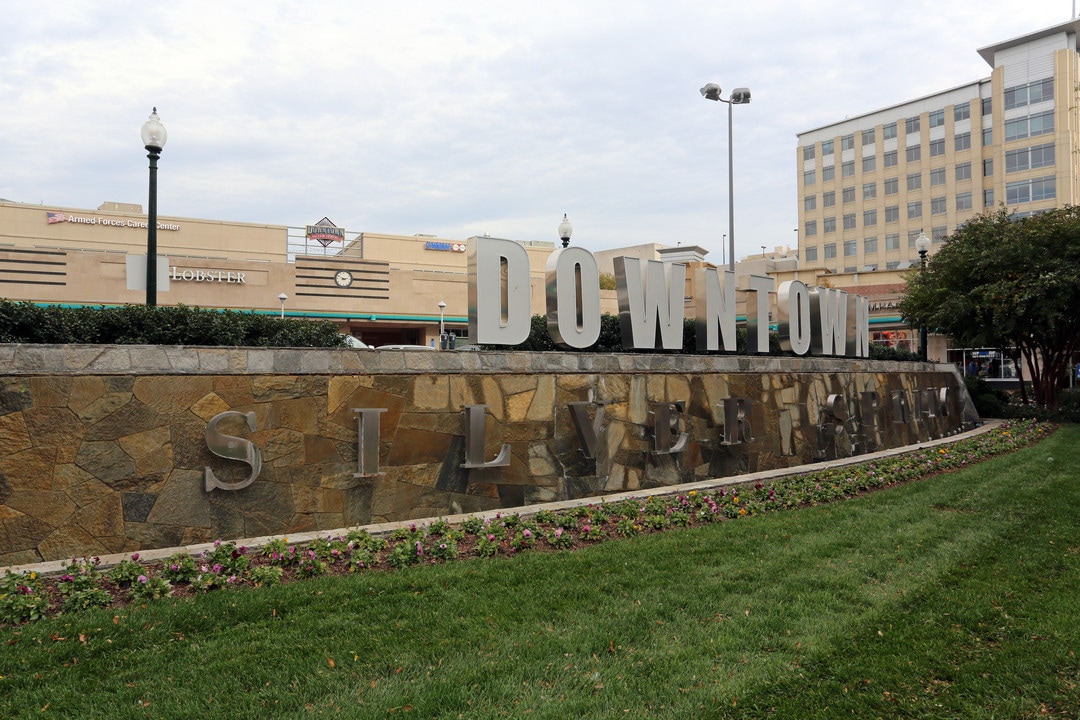 Silver Spring