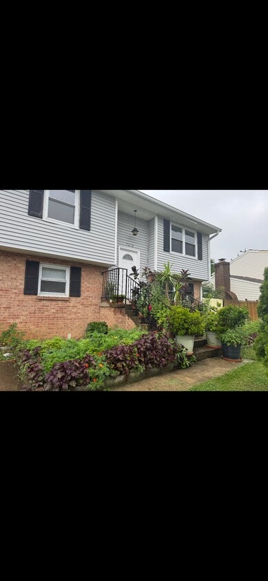 Photo - 7216 Belinger Ct (Springfield, VA)