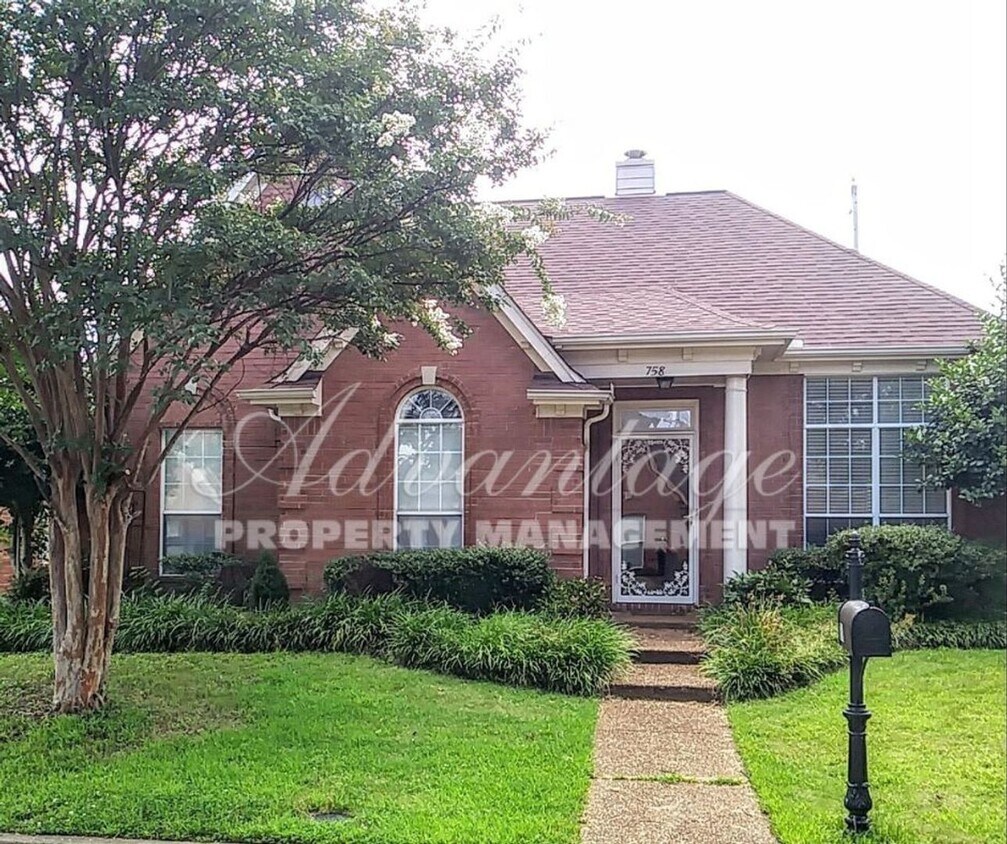 Primary Photo - Very Nice Newly Renovated Home in Cordova