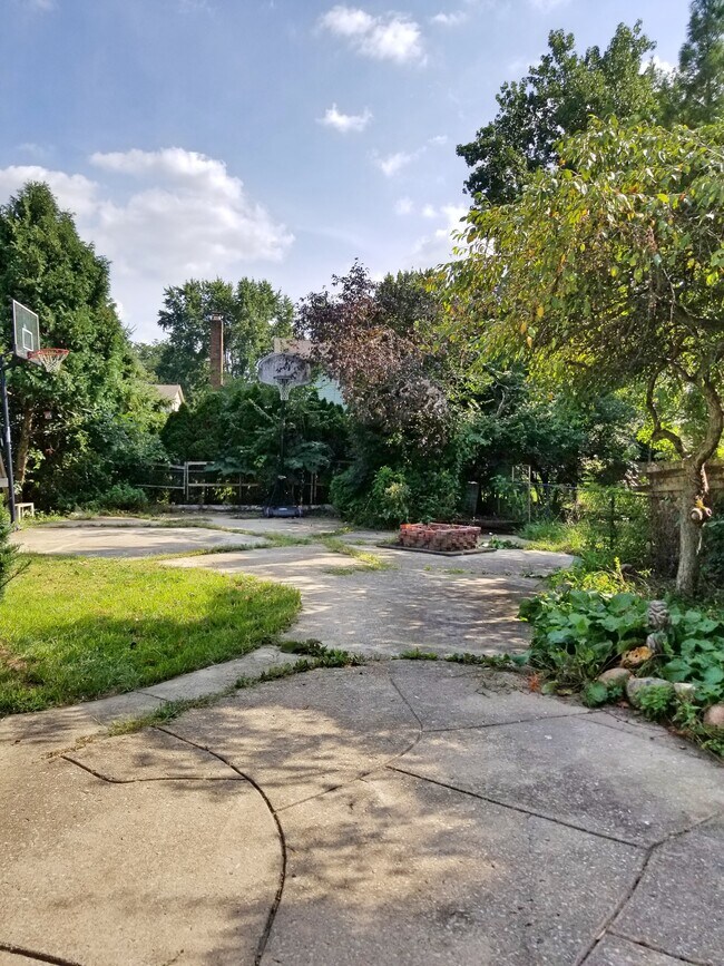 Back Yard - 3281 Smiley Rd