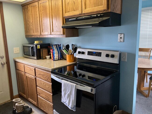 Kitchen - north view - 107 Cretin Ave N