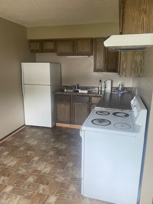 Kitchen - 3023 N Michigan Ave