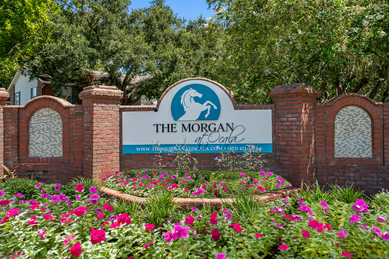 Foto principal - The Morgan at Ocala