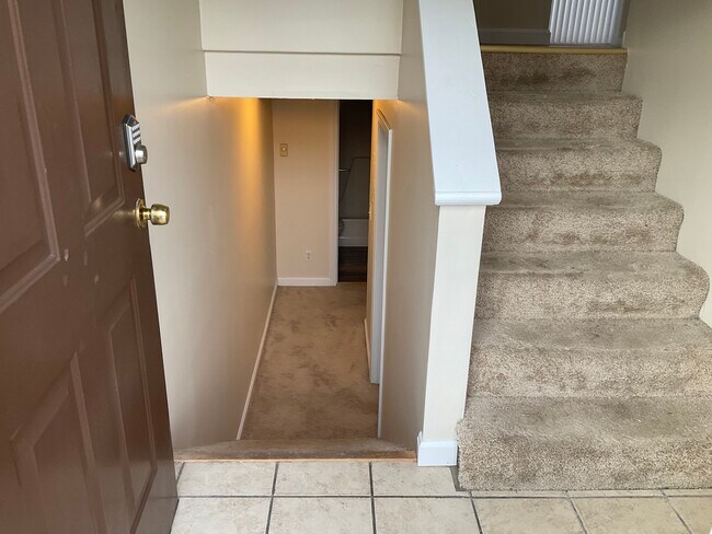 Entry View to lower level - 905 Mammoth Rd