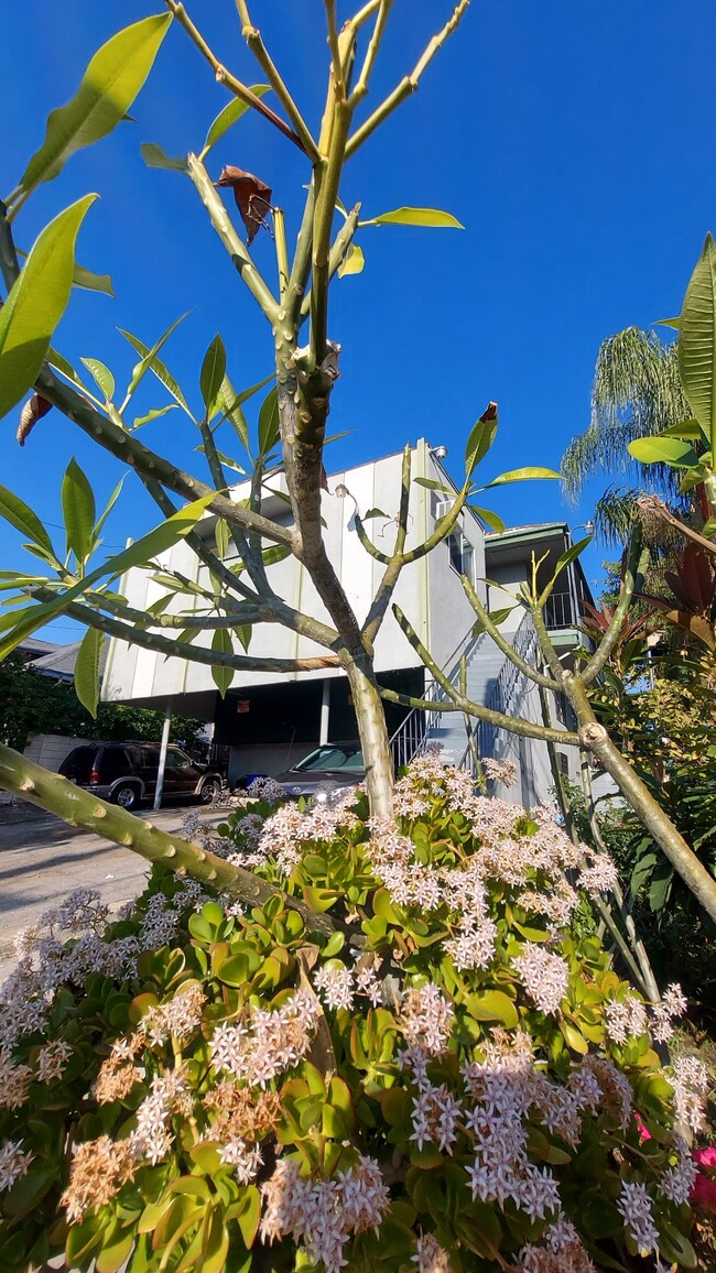 Foto del edificio - 139 S Ave 52 Ave
