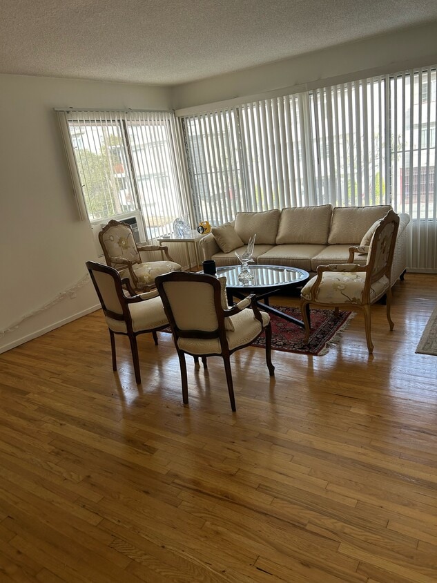 Living Room - 919 S Sherbourne Dr