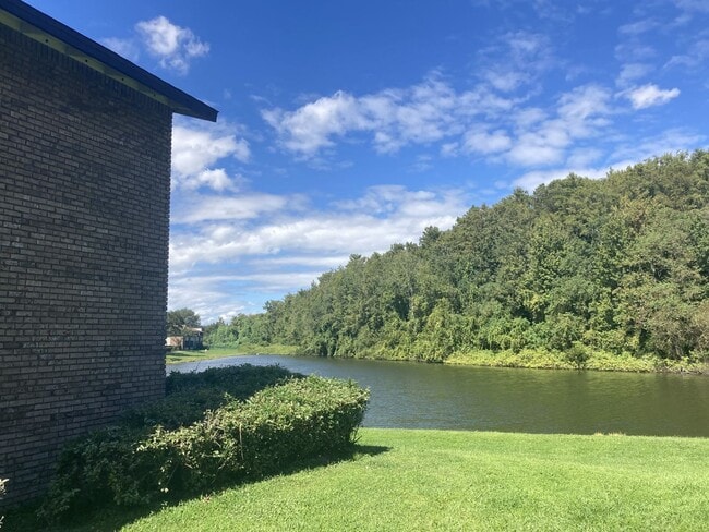Building Photo - 1/1 Millennium Cove