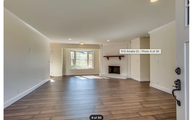 Building Photo - 513 Amalie Ct