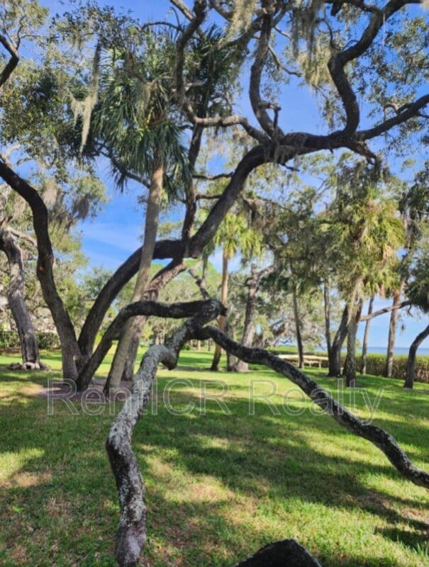 Building Photo - 1111 N Bayshore Blvd