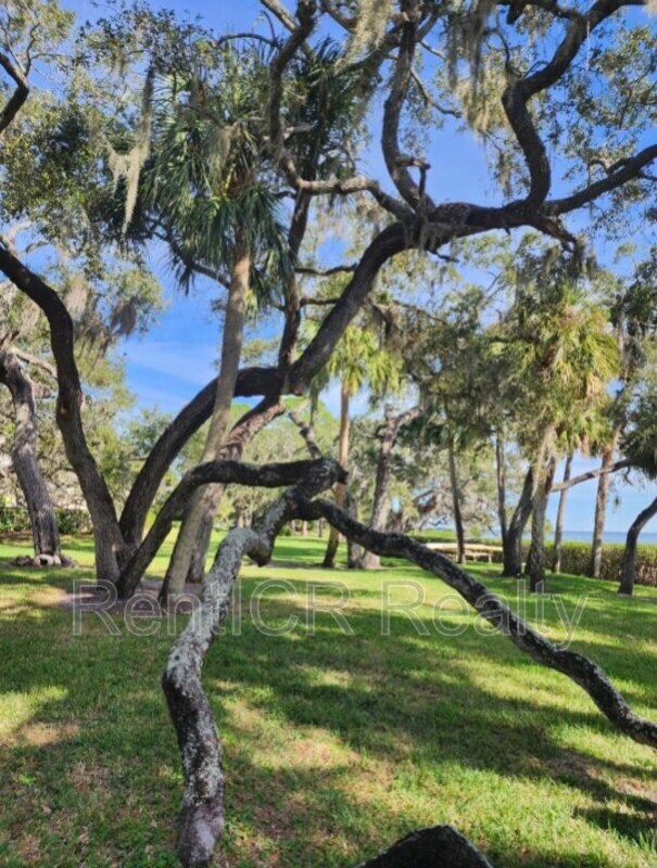 Foto del edificio - 1111 N Bayshore Blvd