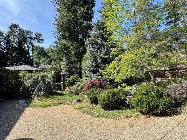 Foto del edificio - 4-bed 3-bath home in Nevada City!