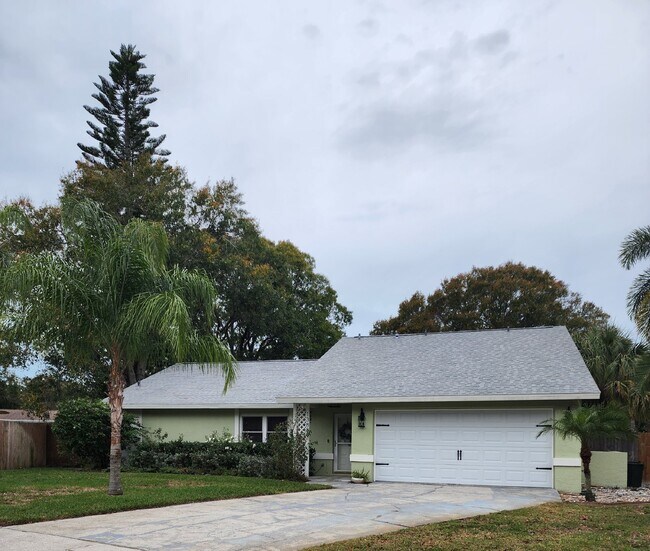 Building Photo - Pool home in Historic Tarpon Springs