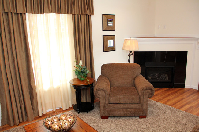 Gas Fireplace in living room - Cottage Hill Townhomes