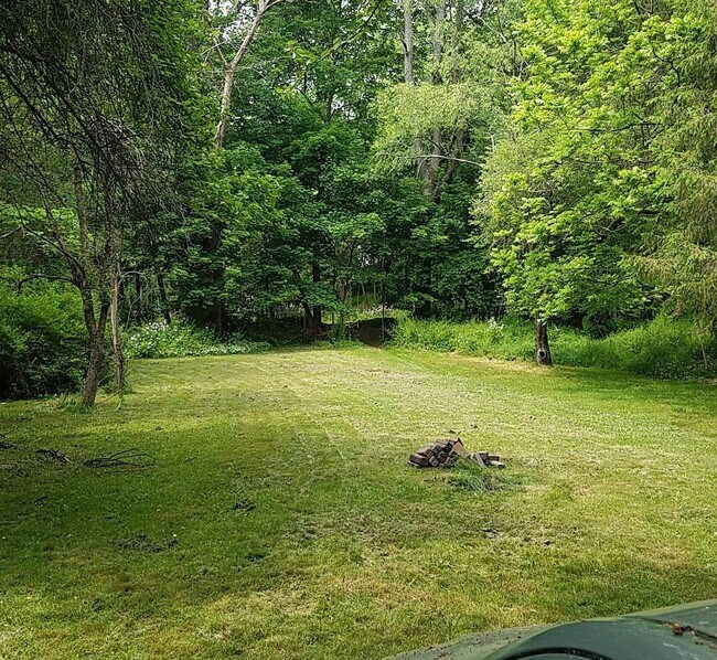 Back yard - 50 S Brooklyn Ave