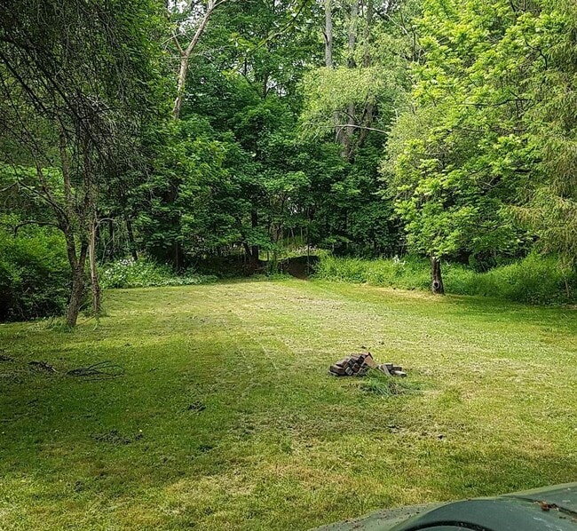 Back yard - 50 S Brooklyn Ave