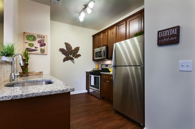 Modelo - Morgan's Bluff