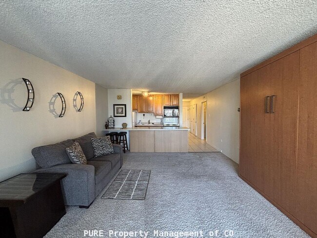 Building Photo - Large furnished studio apartment!