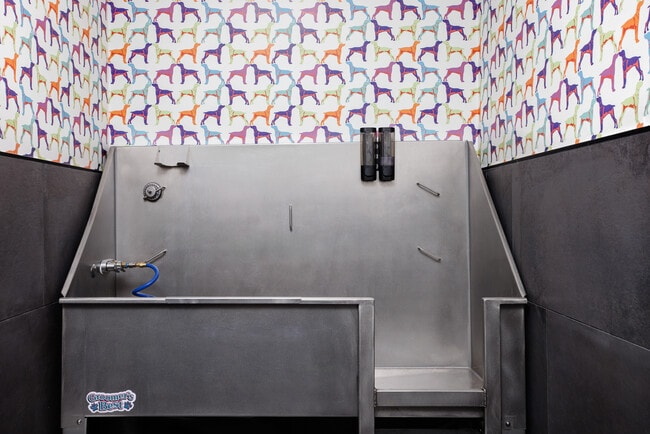 Keep your pup fresh and clean in our convenient dog spa. - Grant Row Lofts
