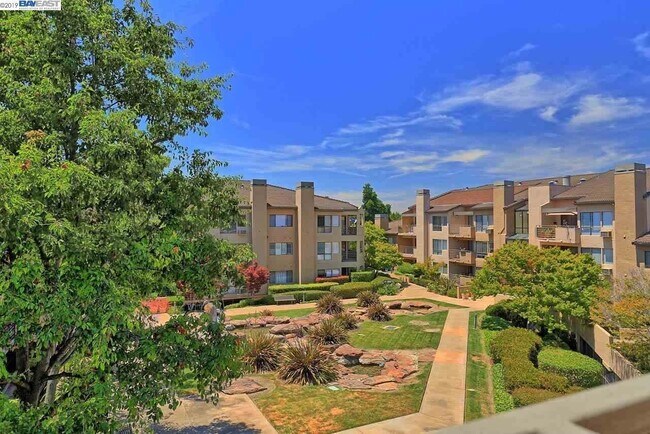 Foto del edificio - 39206 Guardino Dr