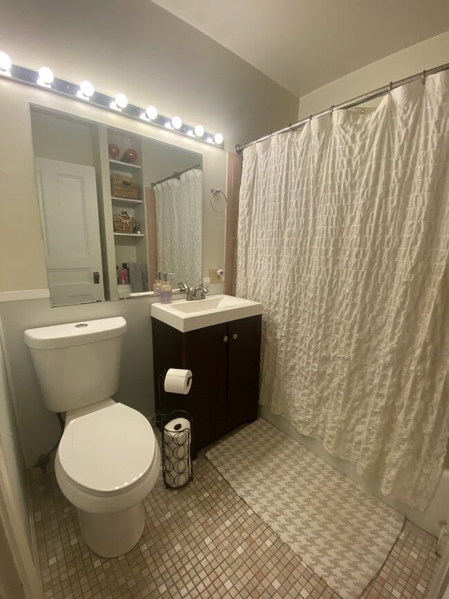 Bathroom - 165 Waterman St