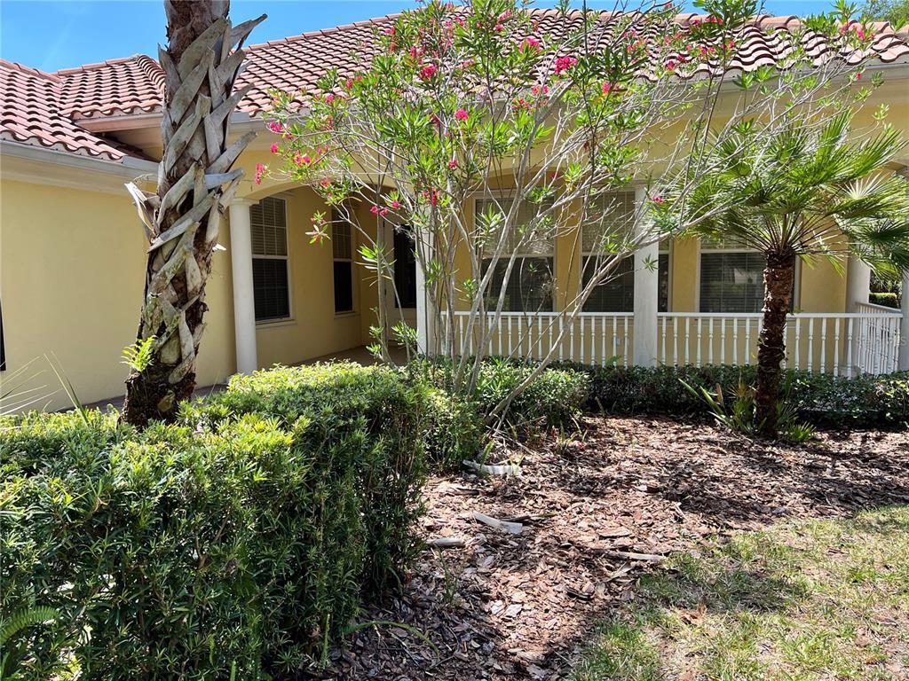Primary Photo - 12060 Jewel Fish Ln