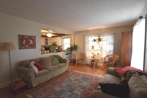 Building Photo - Cozy Cape Cod in Silver Spring's WOODMOOR ...