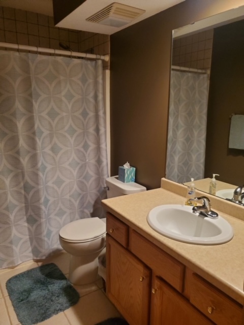 Guest Bath - 880 Lyn Way