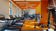 This single-floor fitness center makes a striking visual impression through its bold use of orange on the walls and flooring, creating an energetic atmosphere from the moment you enter. The space is generously proportioned, with soaring ceilings that lend an open, airy quality reinforced by rows of tall, narrow windows that flood the interior with natural light.

The cardio zone is prominently featured along one side of the floor, lined with a comprehensive selection of Matrix treadmills, ellipticals, and stationary bikes positioned to take advantage of the natural light. Adjacent to this area, a strength training zone offers a full rack of dumbbells, selectorized weight machines with red upholstered seating, and versatile benches.

Toward the rear of the space, the design shifts in character. Exposed concrete columns, visible ductwork, and a stone accent wall add an industrial aesthetic. A standout feature is the climbing wall, branded with the word "UNCOMMON," accompanied by a functional training area outfitted with stability balls, resistance tools, and a wooden platform. A large glass partition wall provides visual separation between zones while maintaining an open feel. Mounted televisions are positioned throughout, completing this well-rounded, professionally designed fitness facility.