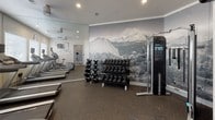 This fitness center is a comprehensively outfitted exercise space designed to accommodate a wide range of workout styles and fitness goals. The room is finished with durable rubber flooring throughout, providing a safe and functional surface for both cardio and strength training activities.

Along one wall, a row of windows fitted with white horizontal blinds allows natural light to fill the space, creating a bright and energizing environment. Multiple treadmills and an elliptical trainer, each equipped with individual display screens, are positioned to take advantage of this natural light. A wall clock is mounted nearby for convenient time tracking during workouts.

A large-scale photographic mural depicting a dramatic mountain landscape serves as a striking focal point on the opposite wall, adding visual depth and an outdoor-inspired ambiance to the interior. Beneath it, a tiered dumbbell rack offers a full range of free weights for strength training. A Precor cable machine stands adjacent to the rack, while a TRX suspension trainer is mounted to the wall for functional bodyweight exercises. An adjustable weight bench and additional Precor cardio equipment complete the strength and conditioning area.

Full-length mirrors line one wall, visually expanding the space and allowing users to monitor their form. Recessed lighting and ceiling fans ensure the room remains comfortable and well-lit. A clearly marked entrance door provides easy access to the fitness center.