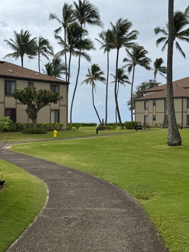Primary Photo - Pono Kai