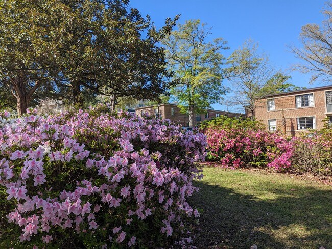 Building Photo - 513 Saluda Ave