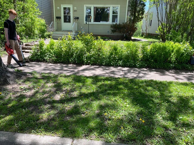 Front Yard - 2624 W 5th St