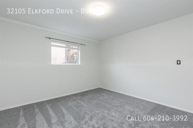 Building Photo - Spacious Basement Suite