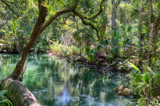 Enjoy the secret cove at Green Springs Park in Deltona.
