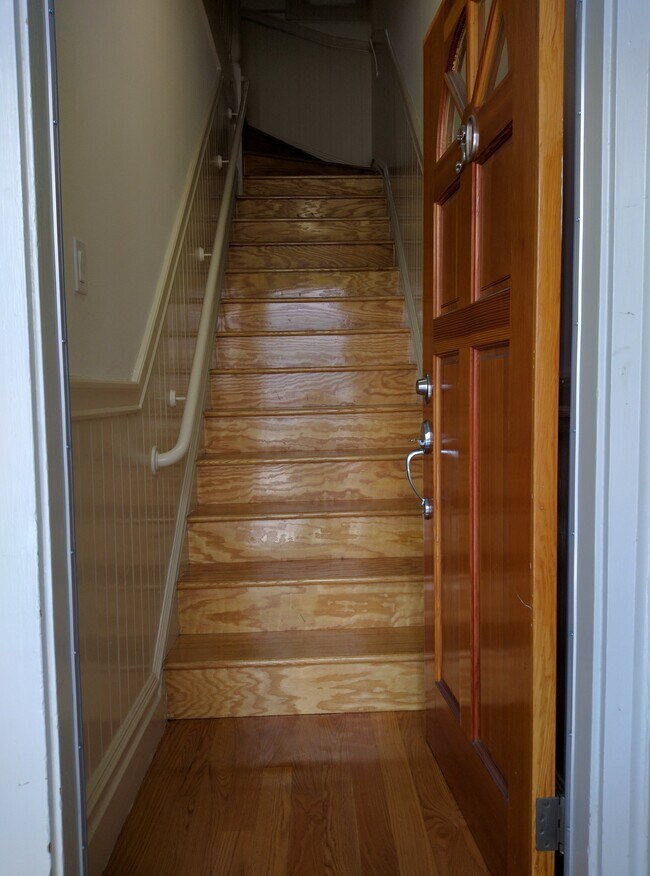 Front Steps - 30 Auburn St
