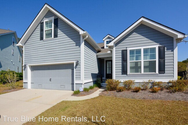 Building Photo - 4 br, 3 bath House - 260 Swallowtail Court
