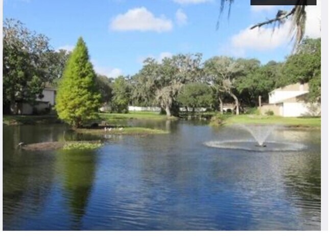 Grounds - 8017 Hibiscus Dr