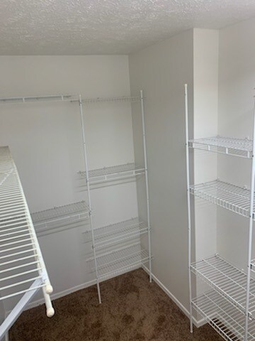 Main bedroom closet - 1188 Gator Ct