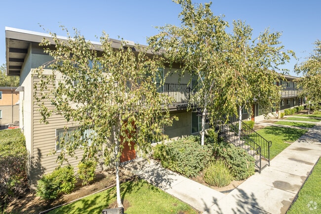 Foto principal - Los Olivos