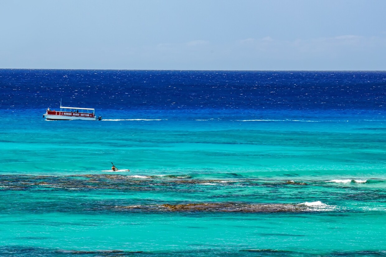 Primary Photo - Escape to Diamond Head in this beautiful o...