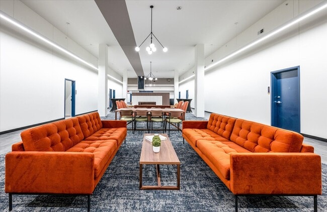 The Archive - The Archive Apartments